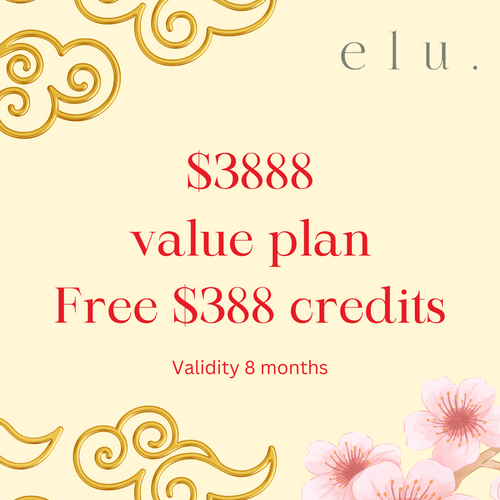 Lunar New Year Flash sale : $3888 Value Plan Free $388 Credits